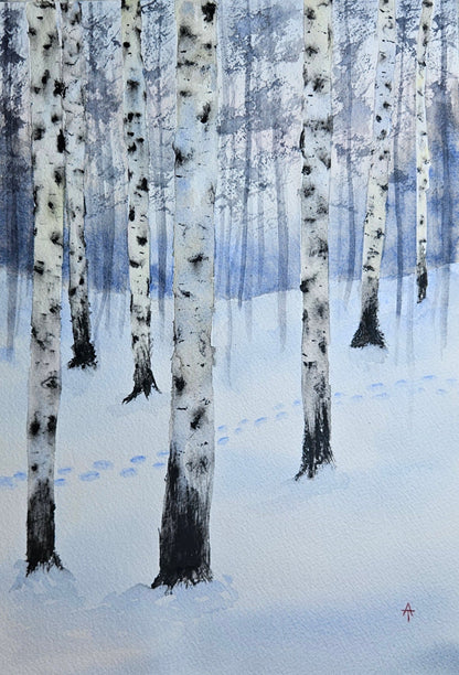 Winter Birches - watercolor